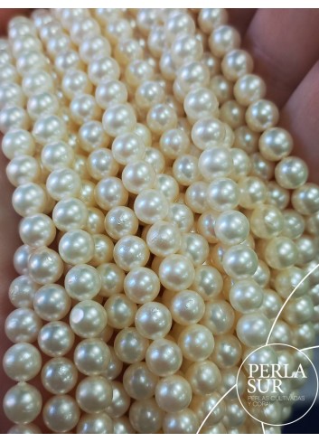 0156225 - AKOYA Strand 5'5-6mm round "B" pearls