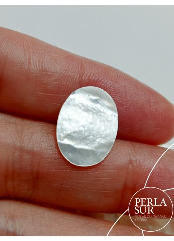 790025 - Disco nácar 12x16mm 1mm