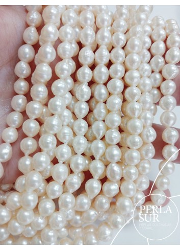 0266125 - Hilo perla AKOYA 6-6'5mm muy barroco