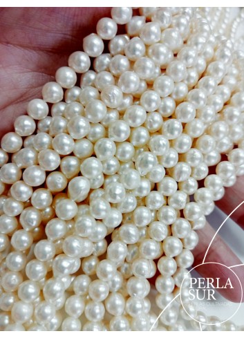 Hilo perla AKOYA 6-6'5mm semibarroco