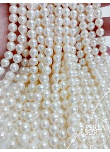 Hilo perla AKOYA 6-6'5mm semibarroco