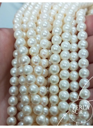 0166125 - Akoya Strand 6-6'5mm round C pearls