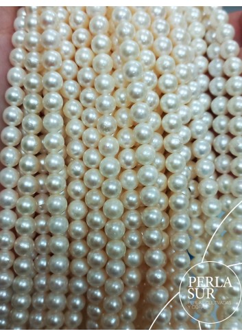 0166125 - Akoya Strand 6-6'5mm round C pearls