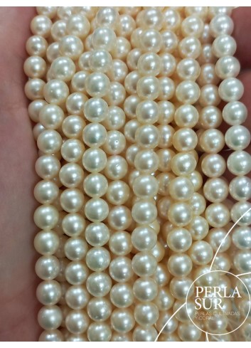 0166325 - Akoya Strand 6-6'5mm round golden pearls