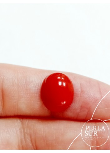 Cabujón 10x12mm oval coral sintético (rojo)