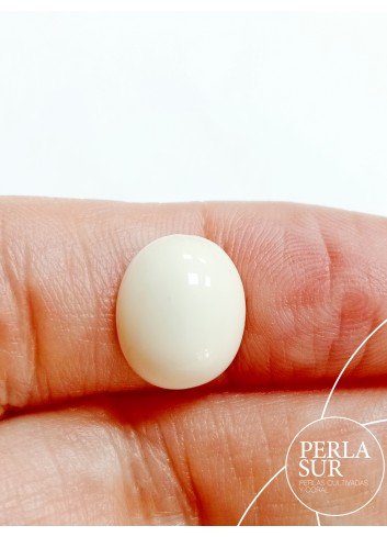 Cabujón 10x12mm oval sintético (marfil)