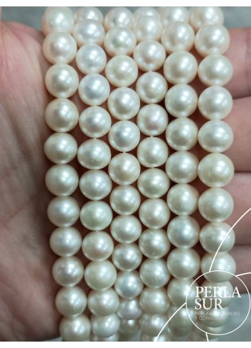 Hilo perla redonda 7'5-8mm blanca