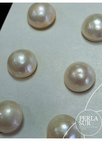 Perla mabe 15'5-16mm D Clásicas