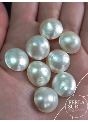 Perla mabe 15'5-16mm "irregulares"