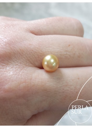 Perla Aus. 8'5-9mm nº1 Redonda Golden