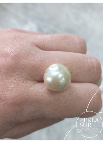 Perla Aus. champagne 15mm barroca