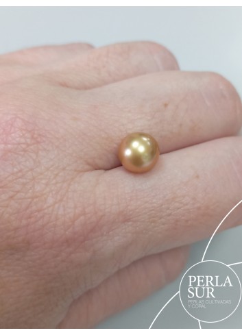 Loose 8´5-9 mm nº2 Round Golden Australian Pearls