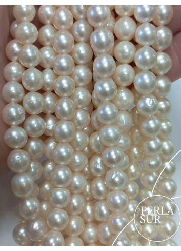 Hilo perla AKOYA 7-7'5mm semibarroco c