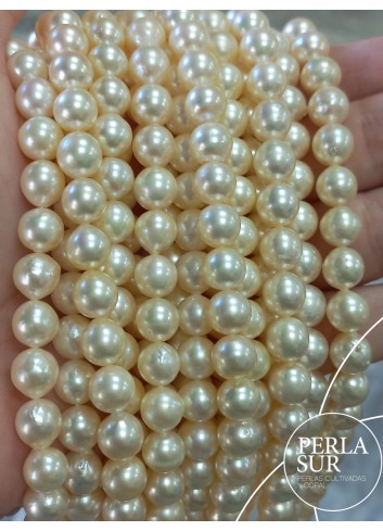 Strand 7'5-8mm SemiBaroque golden Akoya pearls