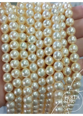 Strand 7'5-8mm SemiBaroque golden Akoya pearls