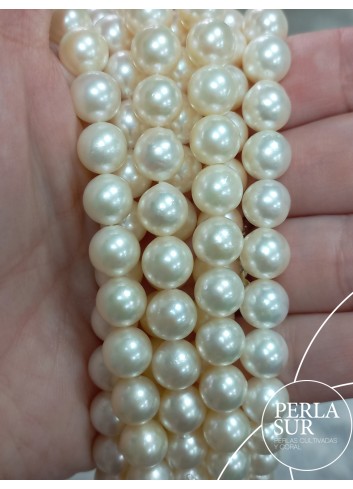 Necklace 8-8´5mm Round Akoya Pearls