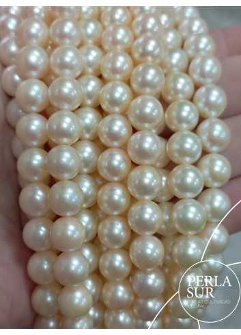 Hilo Redondo 8-8'5mm Golden A Perlas Cultivadas Akoya