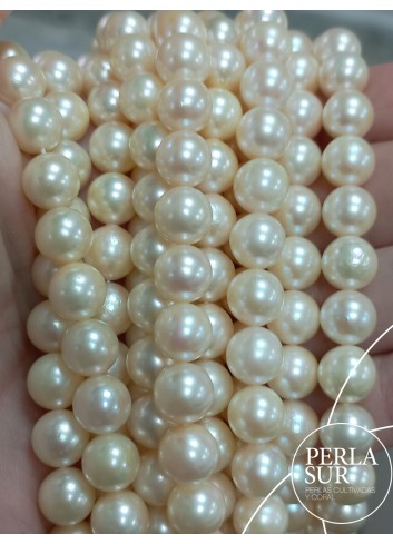 Hilo Redondo 8-8'5mm Golden B Perlas Cultivadas Akoya