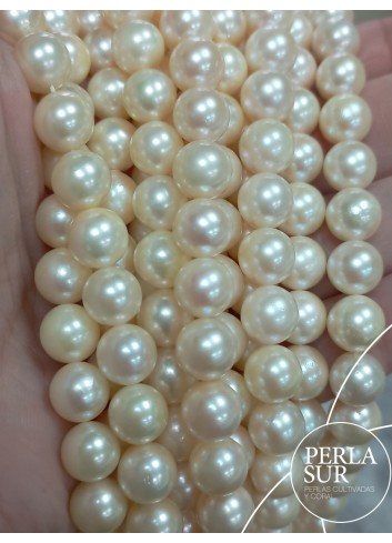 Hilo Redondo 8-8'5mm Golden B Perlas Cultivadas Akoya