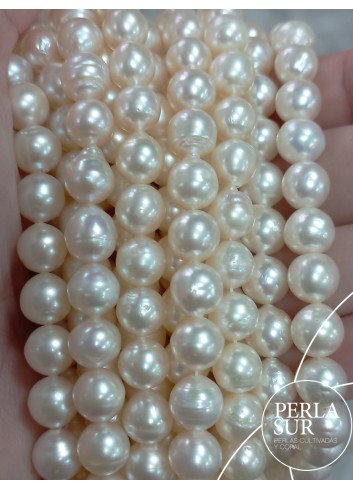 Hilo perla AKOYA 8-8'5mm Barroca cinturilla