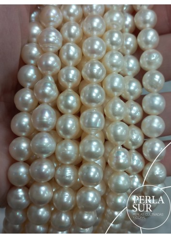 Hilo perla AKOYA 8-8'5mm Barroca cinturilla