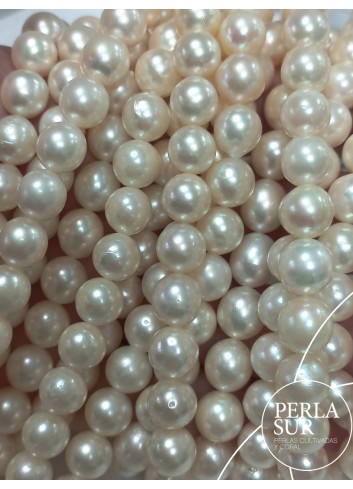 Necklace 8-8´5mm Semiround Akoya Pearls