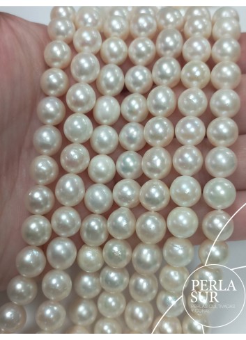 Necklace 8-8´5mm Semiround Akoya Pearls