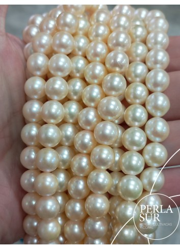 Necklace 8´5-9mm Golden Round Akoya Pearls