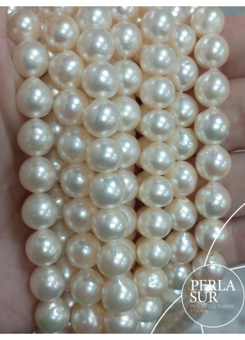 Hilo perla AKOYA 8'5-9mm Semibarroca