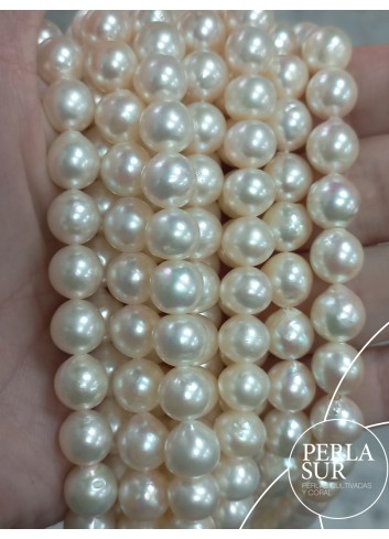 Hilo perla AKOYA 8'5-9mm Semibarroca
