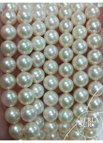 Necklace 8´5-9mm Round Akoya Pearls