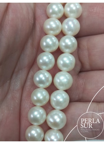 Necklace 8´5-9mm Semiround Akoya Pearls