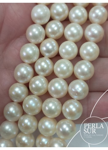 Hilo Redondo 8'5-9mm C Perlas Cultivadas Akoya