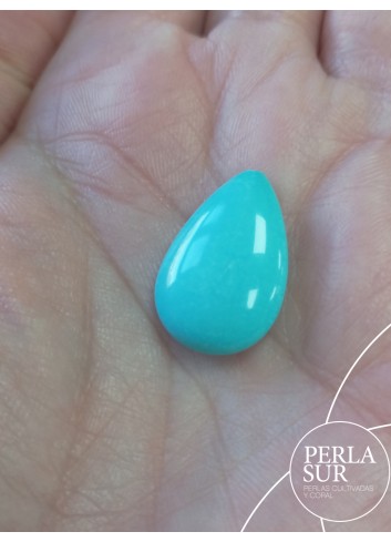 Perilla 1/2t  20'5x14x7mm turquesa natural