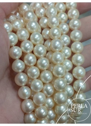 Hilo perla AKOYA 9-9'5mm Golden B