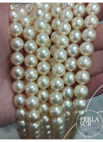 Hilo perla AKOYA 9-9'5mm Golden B