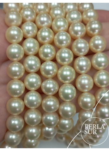 Hilo perla AKOYA 9-9'5mm Golden A Oscura