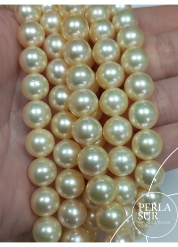 Hilo perla AKOYA 9-9'5mm Golden A Oscura