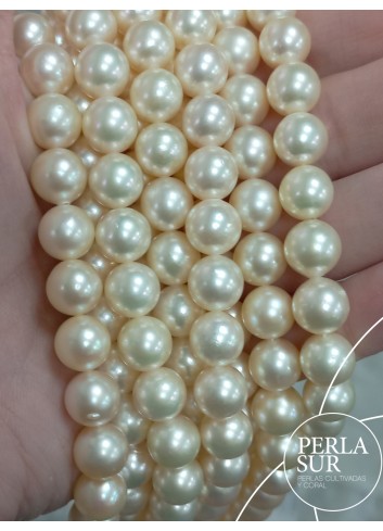 Necklace 9-9'5mm Round Golden Akoya Pearls