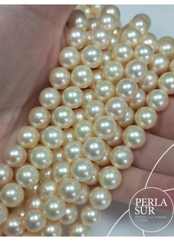 Necklace 9-9'5mm Round Golden Akoya Pearls