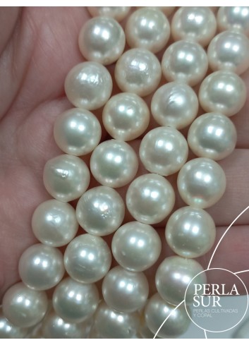 Hilo perla AKOYA 9-9'5mm Semibarroca
