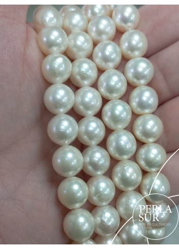 Hilo perla AKOYA 9-9'5mm Semibarroca