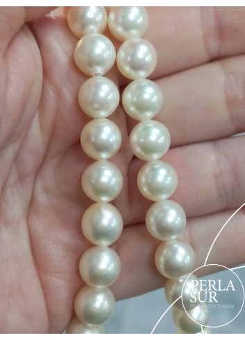Hilo perla AKOYA 9-9'5mm Semiredonda A