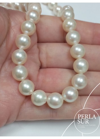Hilo perla AKOYA 9-9'5mm Semiredonda A