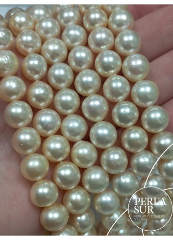 Hilo perla AKOYA 9'5-10mm Golden Semibarroca