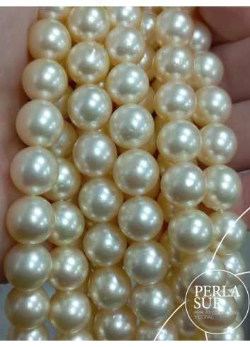 Necklace 9'5-10mm Golden Round Akoya Pearls