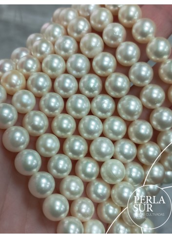 Hilo perla AKOYA 9'5-10mm Redonda