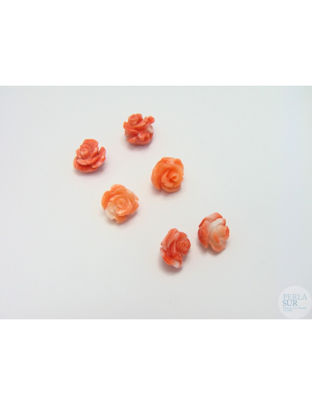 Rosa 5 a 7mm Coral Japonés