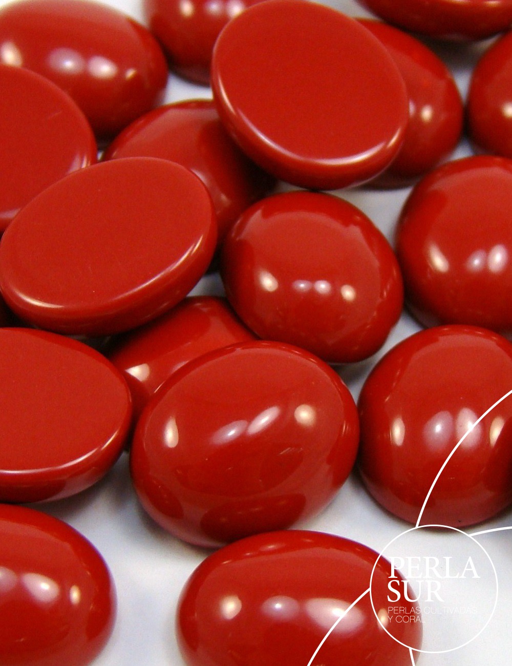 Cabuchón oval 10x12mm coral reconstituído