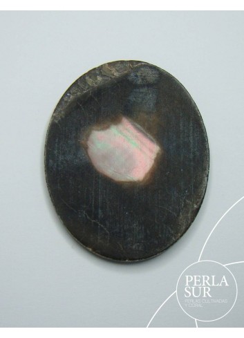 113570995-Julia 35x27mm Margaritifera Cameo